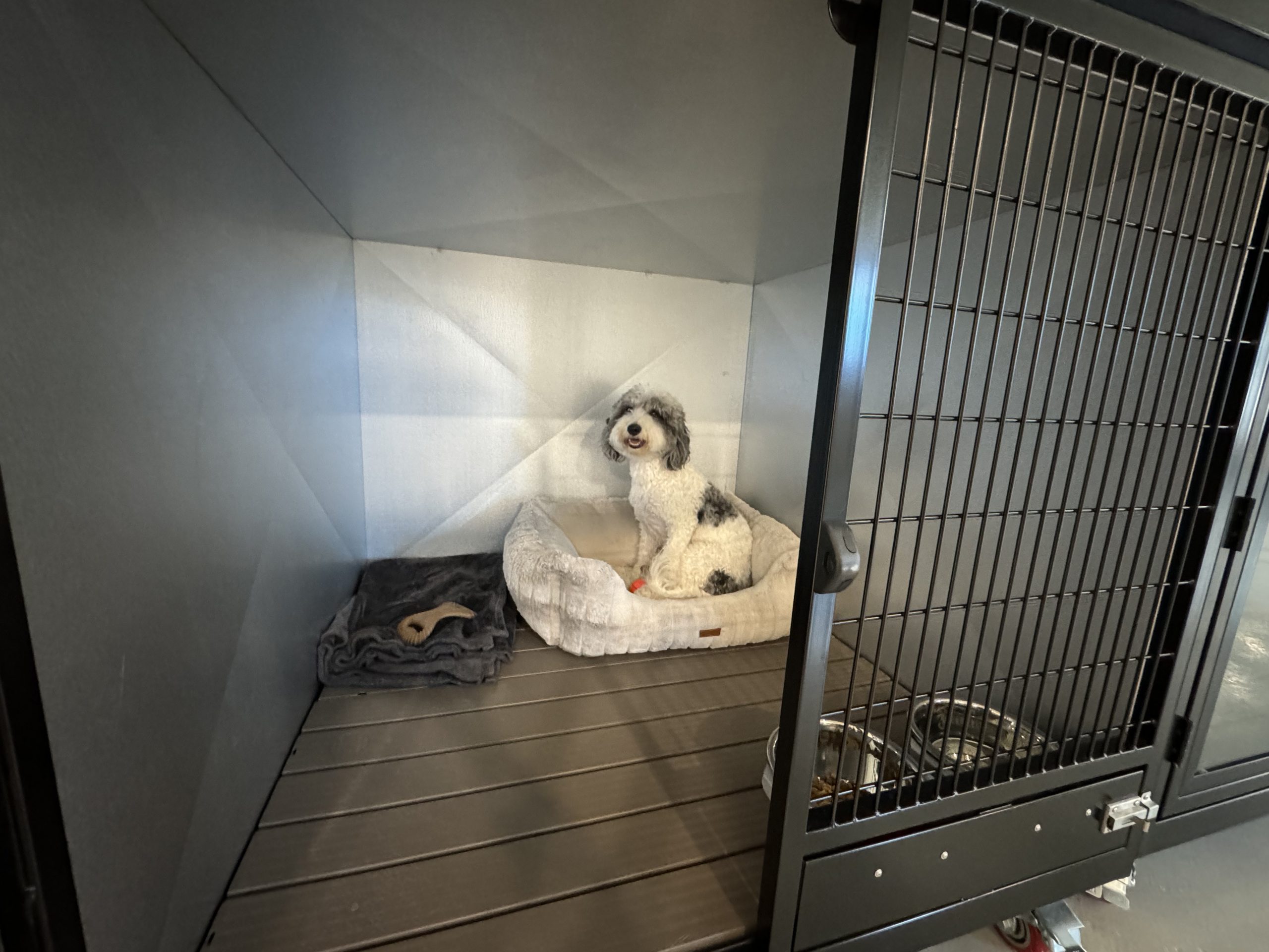 The Deluxe Suite provides ample space for larger breeds of dogs.