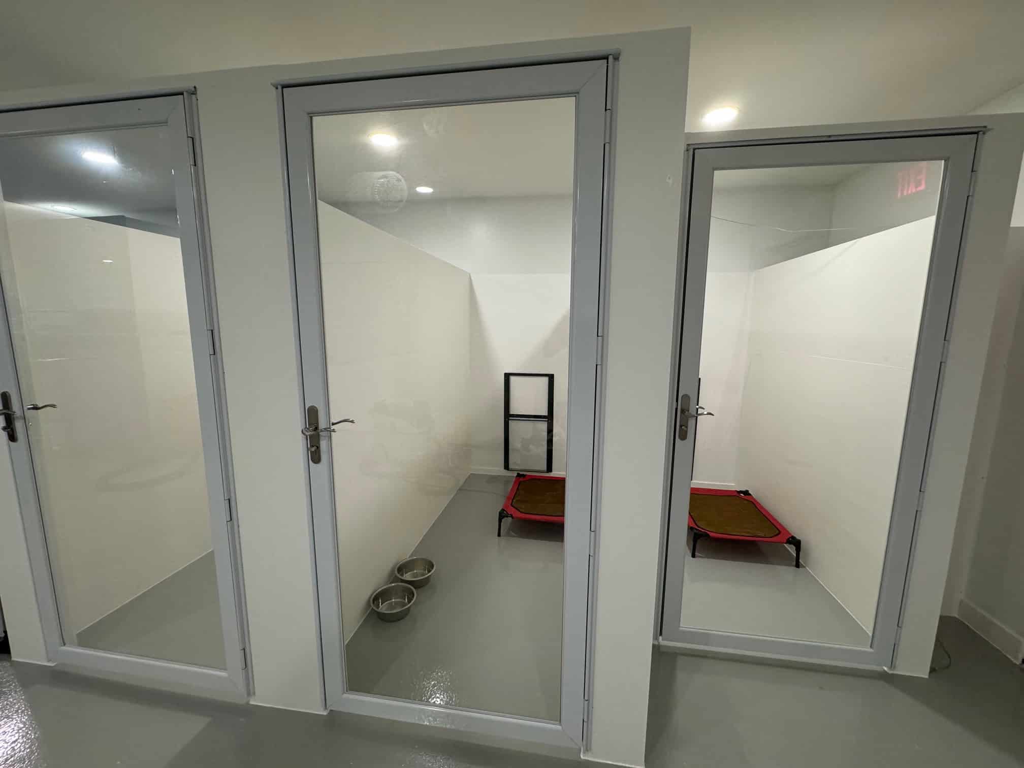 Luxury suites are provided as private rooms equipped with glass doors.