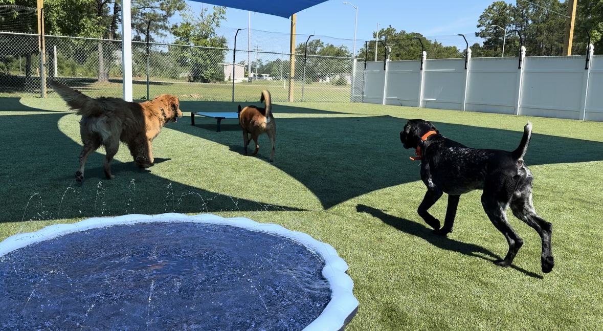 There are splash pads on each field for pure enjoyment.