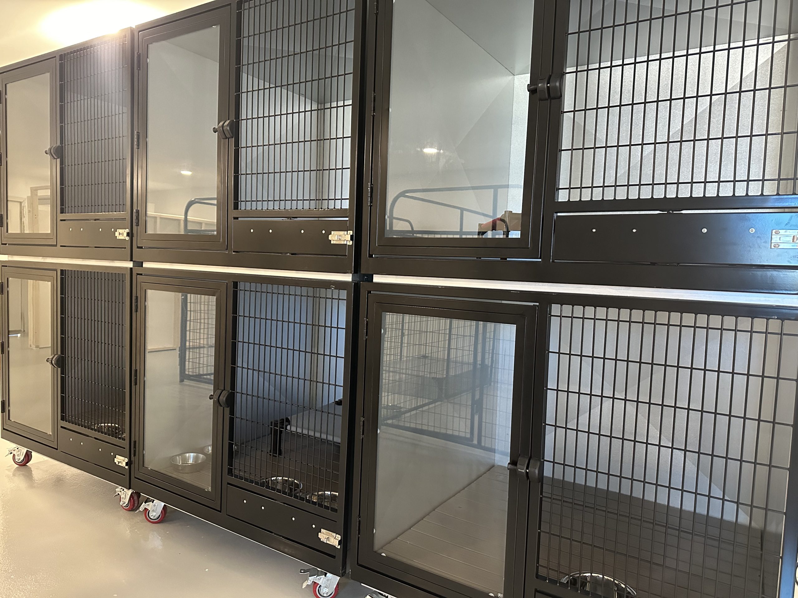 Spacious Deluxe Suites feature Trex-like flooring, glass doors, elevated cots, and a generous 4' x 4' x 4' footprint.