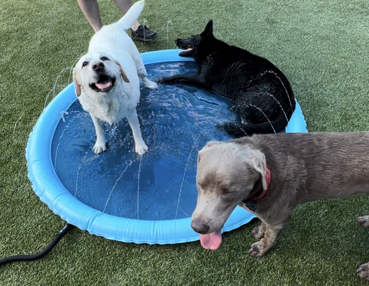 There are splash pads on each field for pure enjoyment.