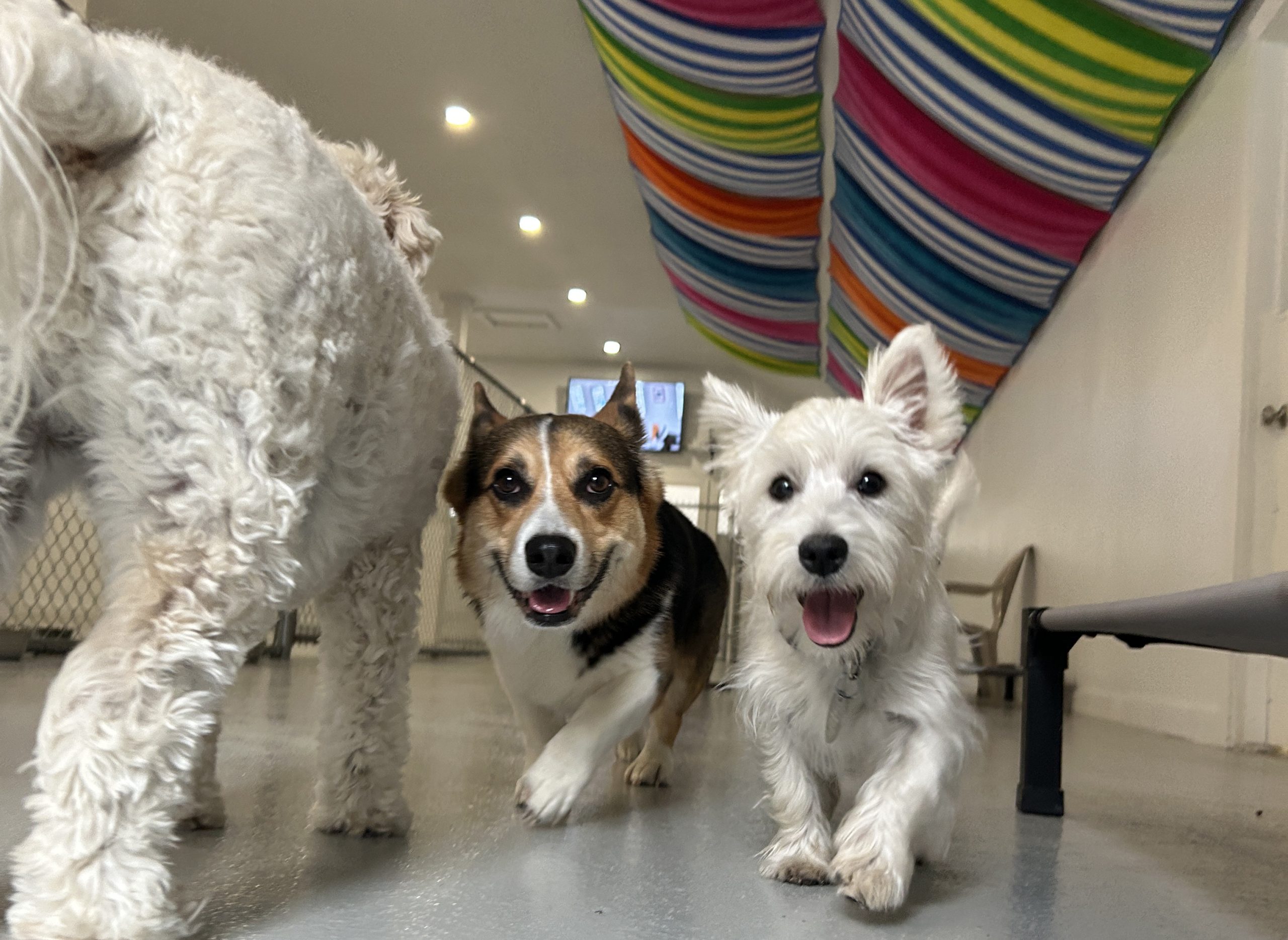 Indoor & Outdoor All-Day Play
