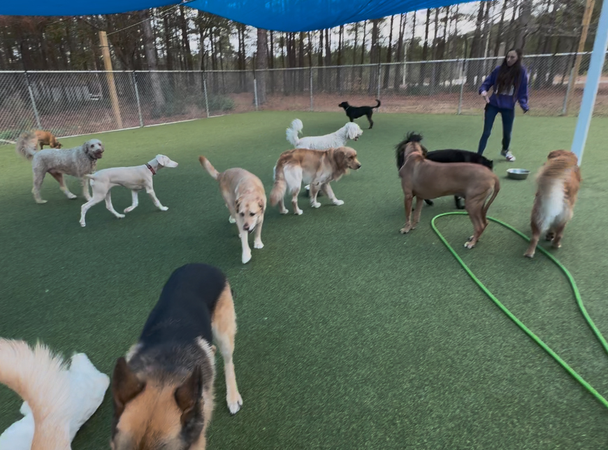 Indoor & Outdoor All-Day Play