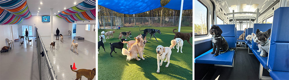 LuvInn Pups indoor play area, outdoor play yard, and pickup bus