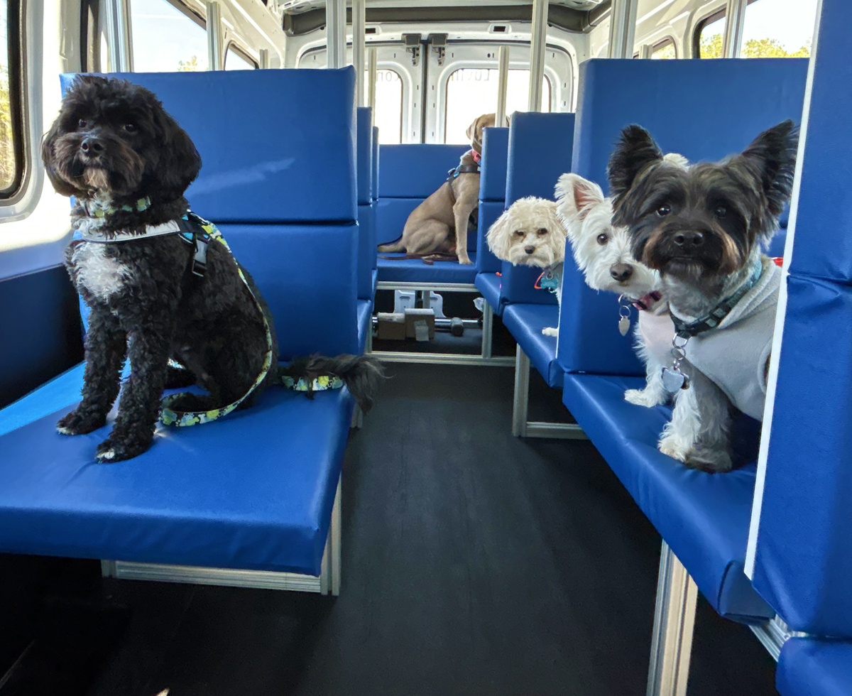 On our way to the best playground in town!